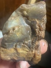 Petrified Wood With Agate