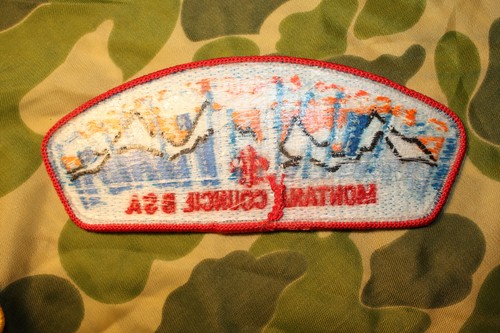 BSA Pfadfinder Montana Rat Schulter Farbe Patch - Bild 2 von 2