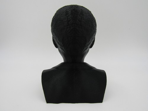 Nelson Mandela South Africa 3D Printed Bust Statue Figure Sculpture PICK COLOR - Picture 4 of 5