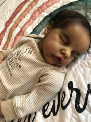 brooke nicole reborn dolls
