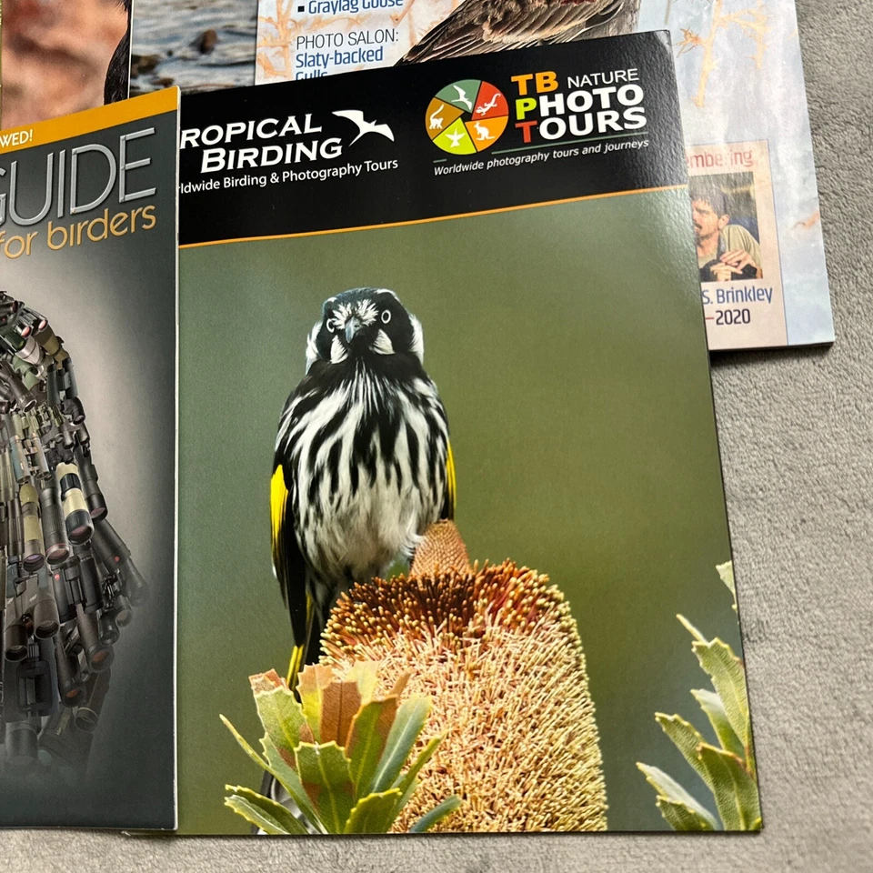 Lot Of 27 Birding, North American Birds, American Birds, Etc Magazines - Image 3 of 4