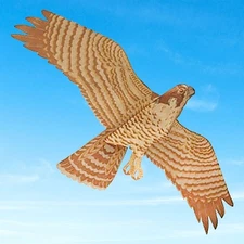 Jackite Peregrine Falcon Kite, 43.5" Wingspan