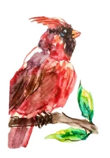 ACEO Watercolor Red Cardinal Bird ORIGINAL Art ATC Painting Miniature 2.5x3.5"