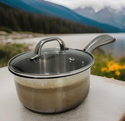 Swiss Diamond Stainless Steel 2 Qt Saucepan Premium Induction 7'' Glass Vent Lid