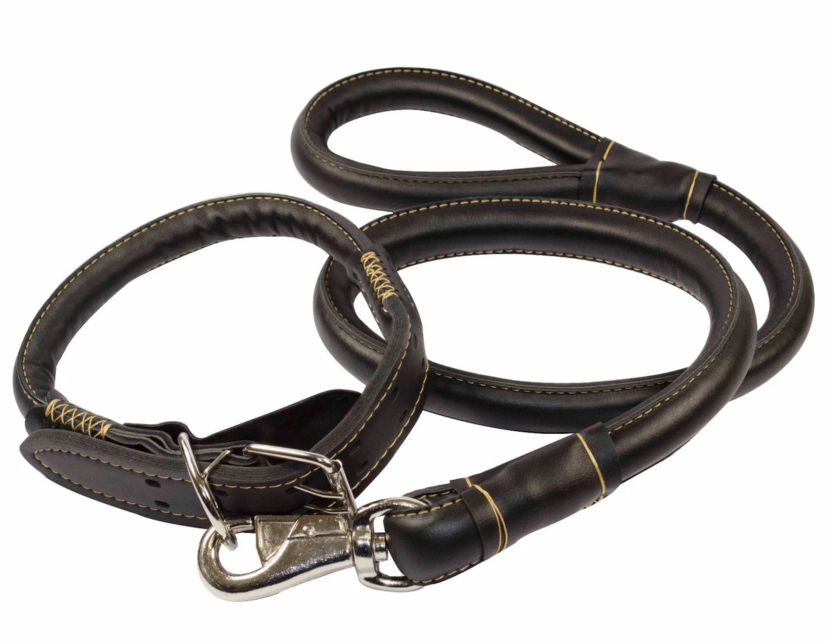 Large breed shop dog leash