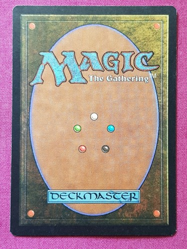 Magic The Gathering VISIONS ELVEN CACHE green card MTG - Picture 2 of 2