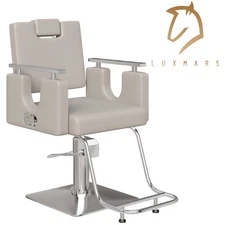 Gray Salon Chair 360° Swivel Barber Chair with Footrest Barbershop Studio Home