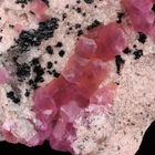 Heterogenite, Cobaltoan Calcite Small Cabinet, Kolwezi, Mutshatsha, DR Congo
