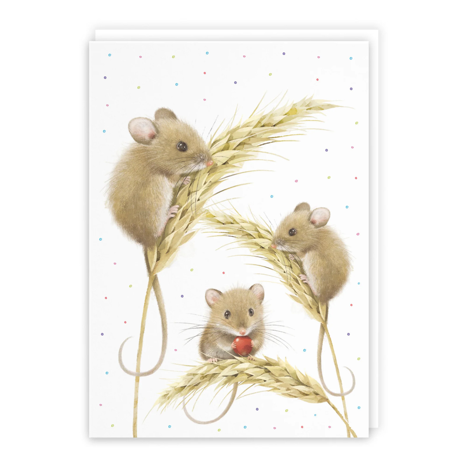 Blank Any Occasion Card Harvest Mice Milo's Gallery