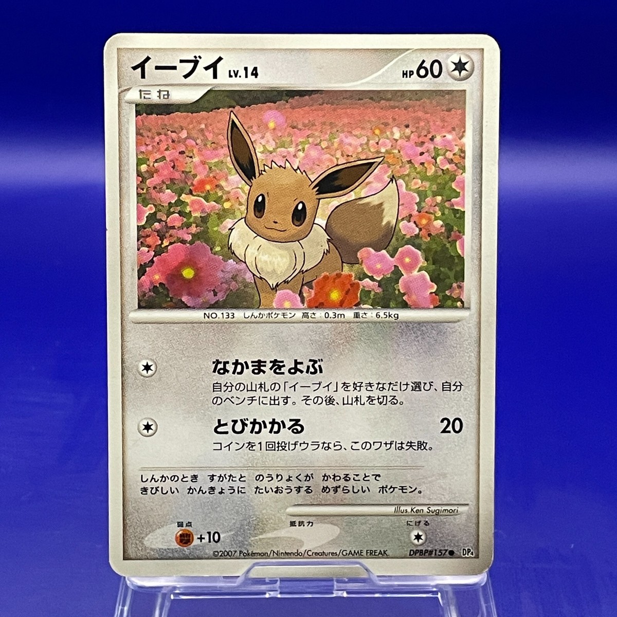 Eevee DPBP#157 Pokmon Nintendo Cards TCG Trading Game Japanese