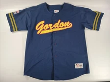Chase Authentics Jeff Gordon NASCAR Embroidered Button Up Baseball Jersey Sz L