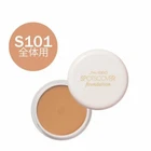 Shiseido Spots Cover Concealer Foundation S101 Full Coverage Made in Japan