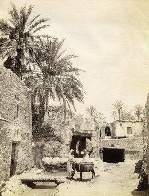Algerien Sahara Oase Biskra Esel Maultier altes Foto Neurdein 1890