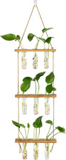 Wall Hanging Propagation Stations 3 Tired Wall Planter Terrarium with Wooden Sta