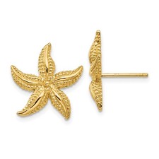 14k Yellow Gold Starfish Shape Stud Earrings L 17mm, W 16mm 3.41gm