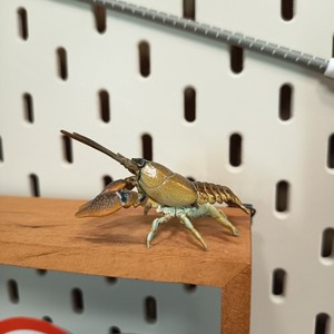 Yujin Realistic Miniature LOBSTER CRAYFISH SECRET SP 2" Mini Figure Toy Japan