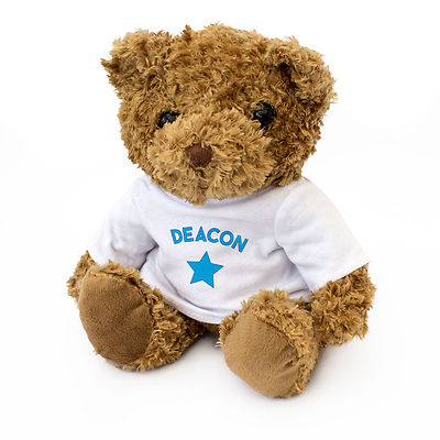 NEW - DEACON - Teddy Bear - Cute And Cuddly - Gift Present Birthday Xmas
