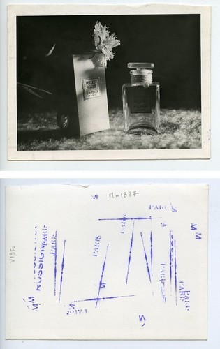 France Paris Perfume Advertising Study populaire d'Artray Old Photo Rossignol 1960