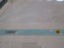 SUMMER LOADING BELT-HANDPAINTED NEEDLEPOINT CANVAS