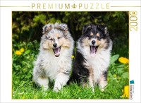 Calvendo Puzzle 7-Week-Old Puppies | 2000 Pieces, Finished Size 35.4 × 26.4 In (