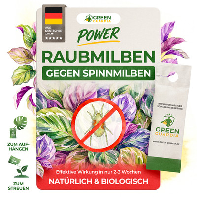Raubmilben gegen Spinnmilben, 1 bis 50 Tüten Nützlinge, Green Guardia 
