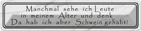 Blechschild 10X46 Cm Sehe Ich Leute In Meinem Alter Spruch Zitat Deko Geschenk M