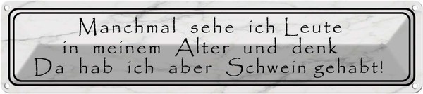 Blechschild 10X46 Cm Sehe Ich Leute In Meinem Alter Spruch Zitat Deko Geschenk M-image