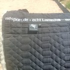 Bild 10 von 21