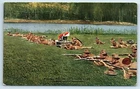 Postcard WW1 Military Patriotic "Firing from Skirmish Line" Underwood J82