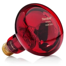 TheraBulb Near Infrared Bulb Small Form - 150W/240V - Sold by Manufacturer