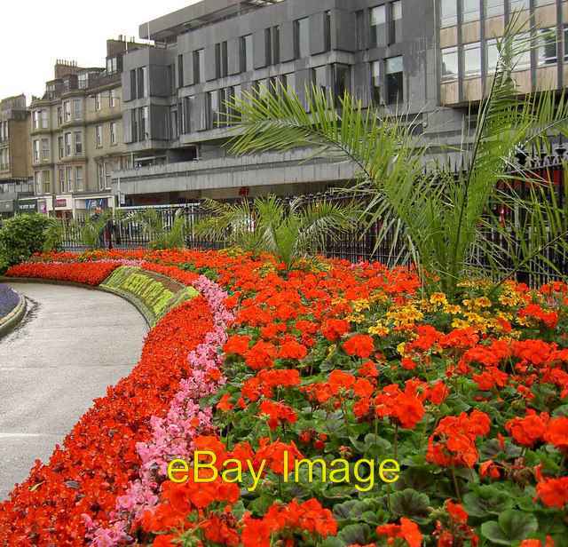 Photo 6x4 Flowers in the rain Edinburgh A wet day on Edinburgh&#039;s Pri c2008