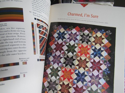 Clever Quarters Too Quilts Pattern Book Fat Quarters Susan Dissmore 2006 LK NEW - Picture 7 of 9