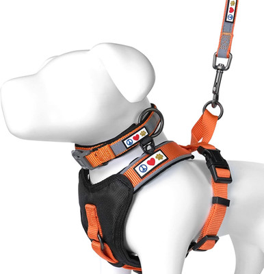 Value Bundle Set | Extra Extra Small Padded Dog Harness + Extra Extra Small Padd