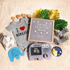 10 Pcs Pregnancy Announcement Set, Elephant Pregnancy Reveal Ideas Include Fe...