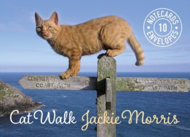Cat Walk Notecards by Jackie Morris (Record book)