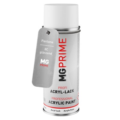 Pantone 8C Warm Grey Spraydose 400 ml glänzend schnelltrocknend