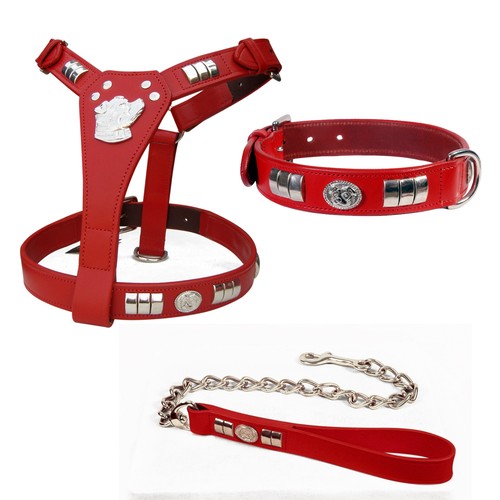 Leather staffy staffordshire dog harness,collar & chain lead chrome knot set - Picture 4 of 5