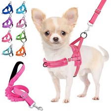 No Pull Dog Harness and Leash Set, Soft Padded Small Dog Harness, Neck  Ches...