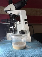 microworm starter culture