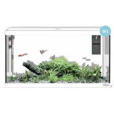 Sicce Acquario Moby Dick 60 New - 58 litri completo di accessori