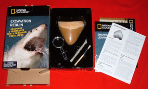 National Geographic Fossil SHARK Tooth Dig Kit STEM Biology Science 2016 NEW MEG