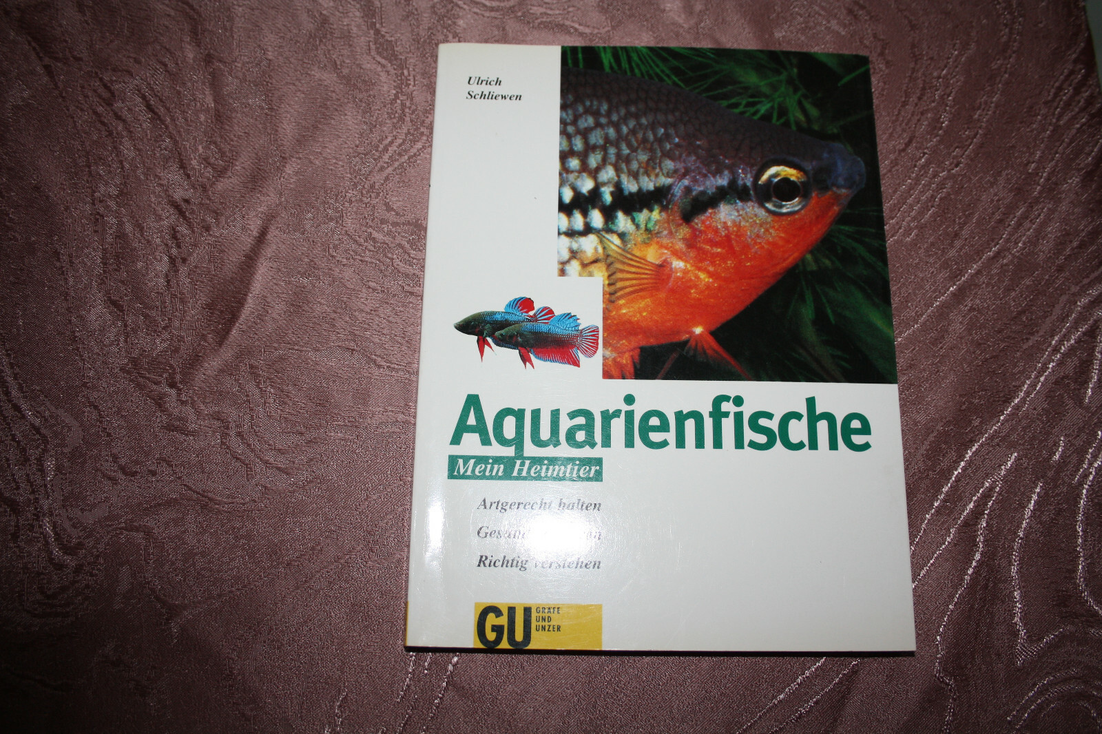 Bild 1 von 3