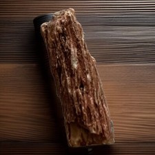 Madera petrificada de Argentina, Patagonia, Chubut 3,9 x 1,1 x 1 cm 9