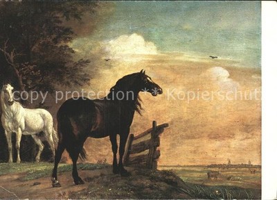 artist card Paulus Potter Paarden in de weide  