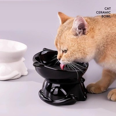 Anti-tipping Neck-protecting Pet Cat Food And Water Bowl Tall-legged Slanted