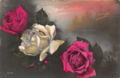 Old postcard fantasy - Happy New Year - red and white roses by the water