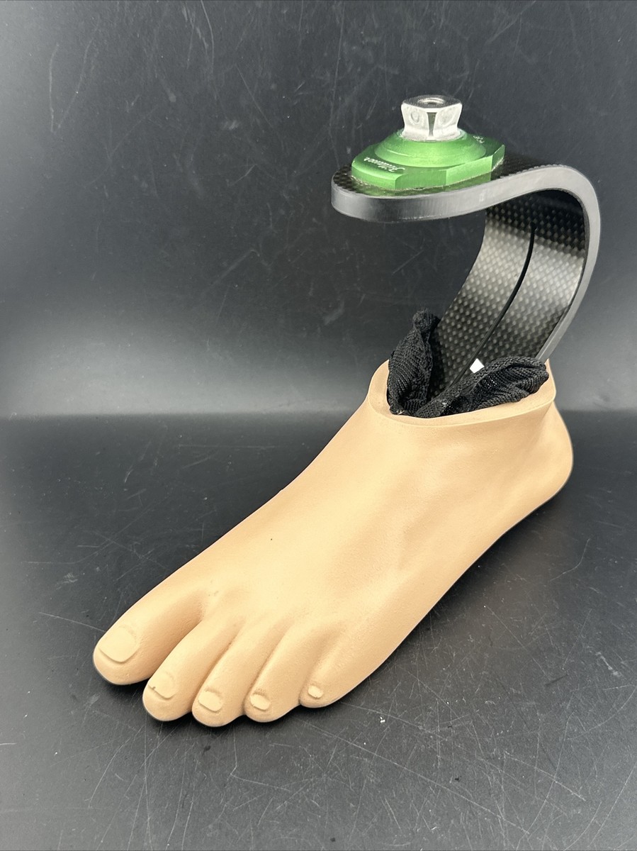 Pièces détachées et accessoires PIAGGIO X10 500