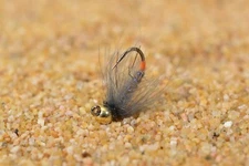 6 Flies - Buggy Hot Spot Jig Fly - Euro nymph - Tungsten Bead - Hanak Hook