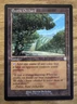 MTG The Brothers' War Commander, Exotic Orchard