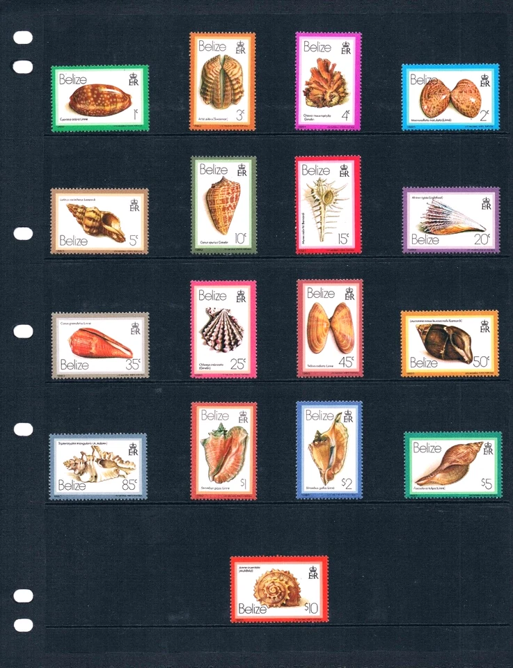 Valor Scott de $80,05 - 1980 conchas marinas definitivas Belice marinas MNH NH UMM Foto 2 de 4